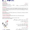 JULBEEB INTERNATIONAL_page-0008