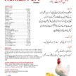 JULBEEB INTERNATIONAL_page-0012