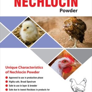 Nechnlocin Powder