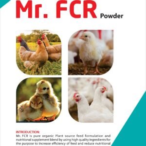 Mr. FCR Powder