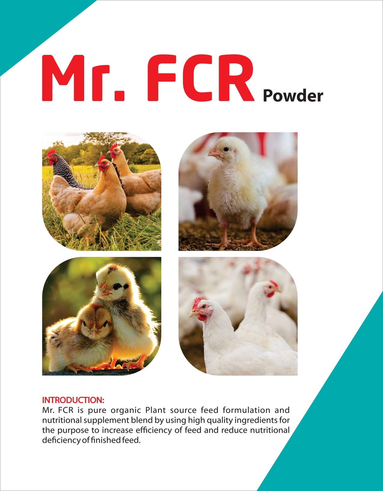 Mr. FCR Powder