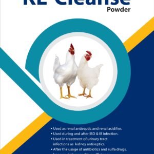 KL-Cleanse Powder