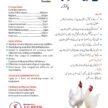 JULBEEB INTERNATIONAL_page-0018