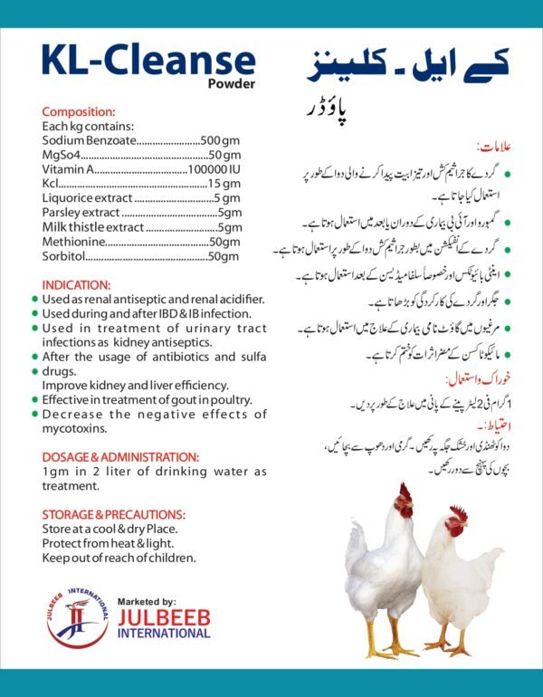 KL-Cleanse Powder - Image 2