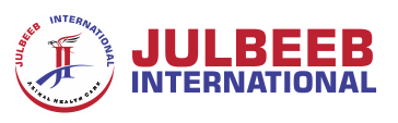 julbeebinternational.com